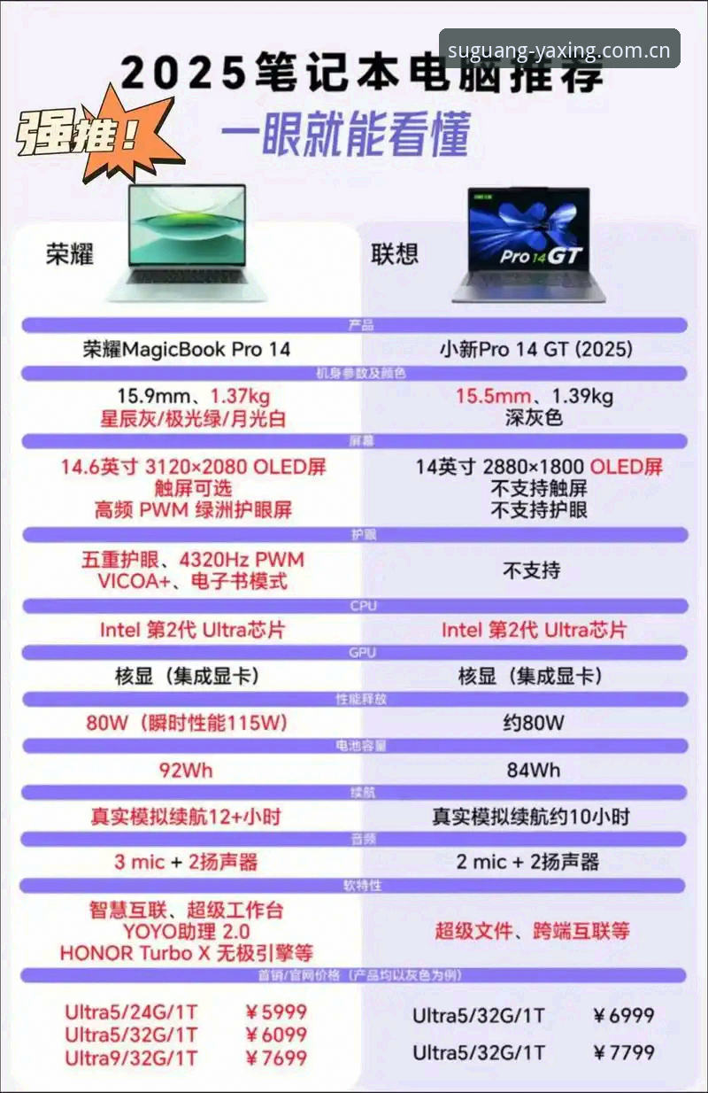 溯光版亚星娱乐电脑登录必备 溯光版亚星娱乐电脑登录vs普通版:哪个更适合你的2025需求?